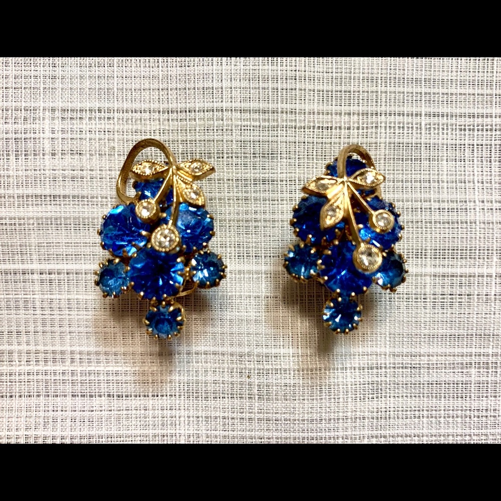 Gorgeous Vintage Julianna Blur Clip On Earrings